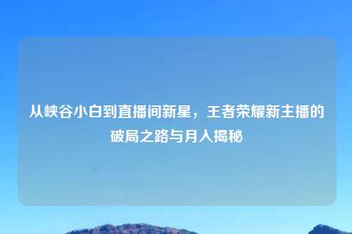 从峡谷小白到直播间新星，王者荣耀新主播的破局之路与月入揭秘