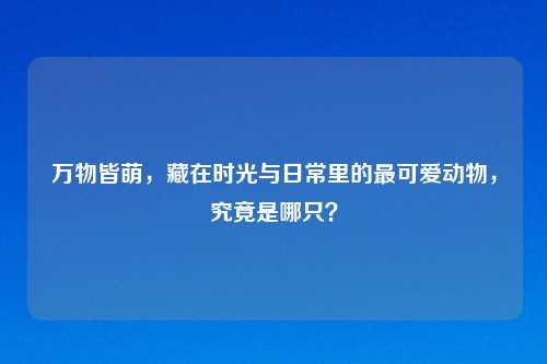万物皆萌，藏在时光与日常里的最可爱动物，究竟是哪只？