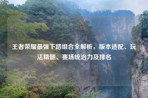 王者荣耀最强下路组合全解析，版本适配、玩法精髓、赛场统治力及排名