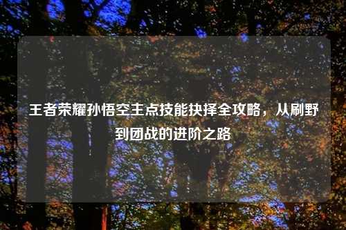 王者荣耀孙悟空主点技能抉择全攻略，从刷野到团战的进阶之路