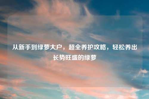 从新手到绿萝大户，超全养护攻略，轻松养出长势旺盛的绿萝