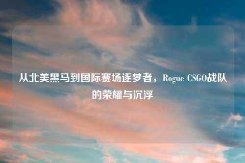 从北美黑马到国际赛场逐梦者，Rogue CSGO战队的荣耀与沉浮