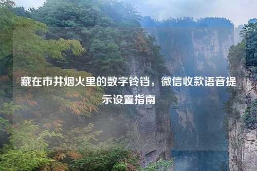 藏在市井烟火里的数字铃铛，微信收款语音提示设置指南