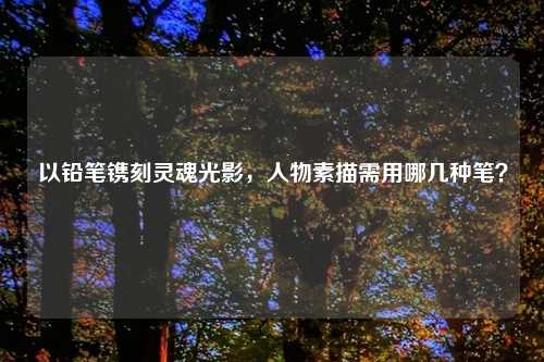 以铅笔镌刻灵魂光影，人物素描需用哪几种笔？