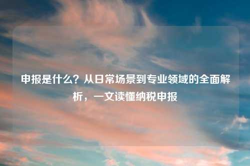 申报是什么？从日常场景到专业领域的全面解析，一文读懂纳税申报