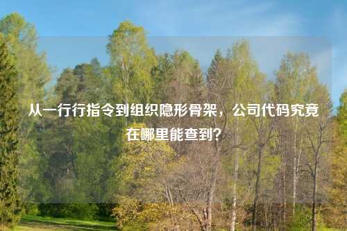 从一行行指令到组织隐形骨架，公司代码究竟在哪里能查到？