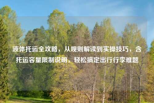 液体托运全攻略，从规则解读到实操技巧，含托运容量限制说明，轻松搞定出行行李难题