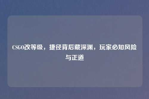 CSGO改等级，捷径背后藏深渊，玩家必知风险与正道