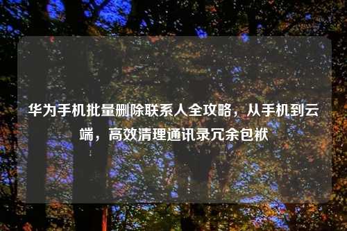 华为手机批量删除联系人全攻略，从手机到云端，高效清理通讯录冗余包袱