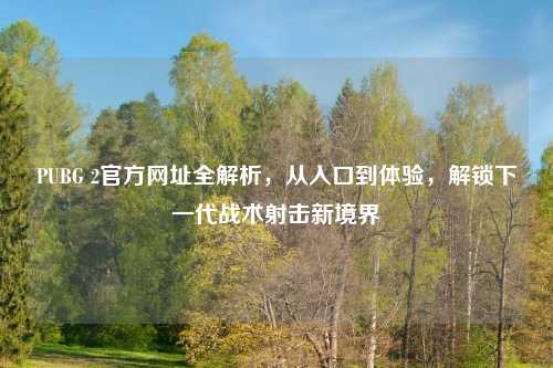 PUBG 2官方网址全解析，从入口到体验，解锁下一代战术射击新境界