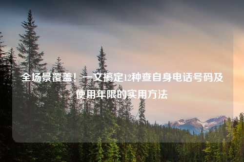 全场景覆盖！一文搞定12种查自身     号码及使用年限的实用     