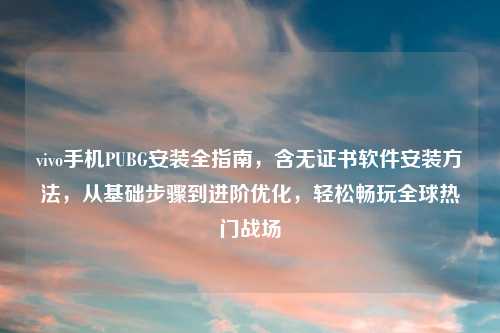 vivo手机PUBG安装全指南，含无证书软件安装     ，从基础步骤到进阶优化，轻松畅玩全球热门战场
