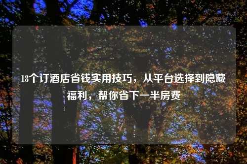 18个订酒店省钱实用技巧，从平台选择到隐藏福利，帮你省下一半房费