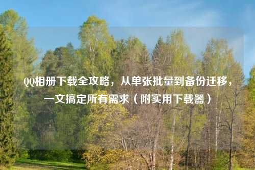      相册下载全攻略，从单张批量到备份迁移，一文搞定所有需求（附实用下载器）