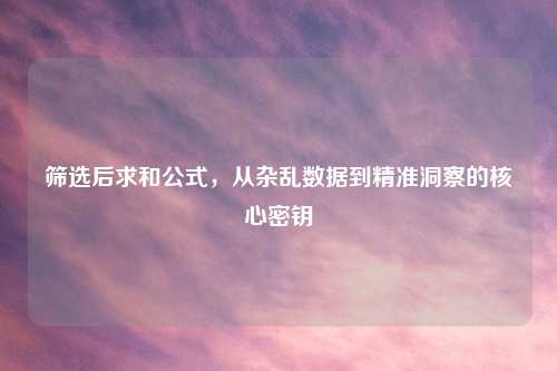 筛选后求和公式，从杂乱数据到精准洞察的核心密钥