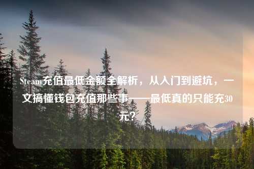 Steam充值更低金额全解析，从入门到避坑，一文搞懂钱包充值那些事——更低真的只能充30元？