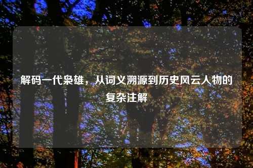 解码一代枭雄，从词义溯源到历史风云人物的复杂注解