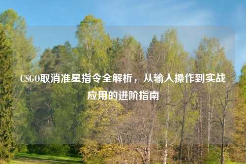 CSGO取消准星指令全解析，从输入操作到实战应用的进阶指南