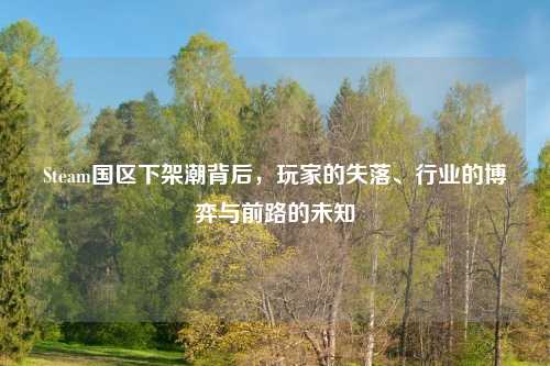 Steam国区下架潮背后，玩家的失落、行业的博弈与前路的未知