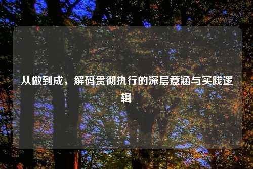 从做到成，解码贯彻执行的深层意涵与实践逻辑
