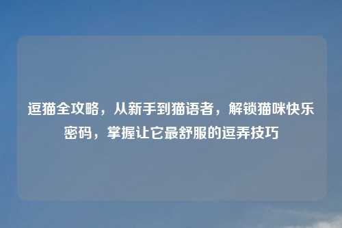 逗猫全攻略，从新手到猫语者，解锁猫咪快乐密码，掌握让它最舒服的逗弄技巧