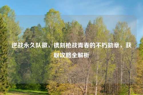 逆战永久队徽,镌刻枪战青春的不朽勋章,获取攻略全解析