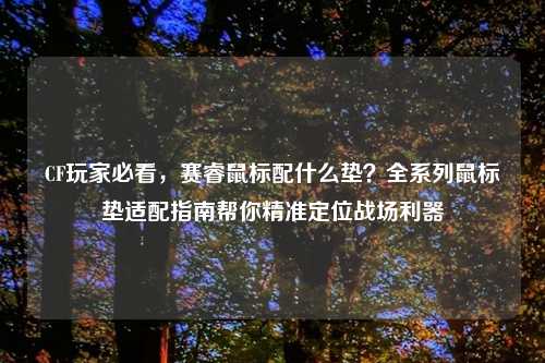 CF玩家必看，赛睿鼠标配什么垫？全系列鼠标垫适配指南帮你精准定位战场利器