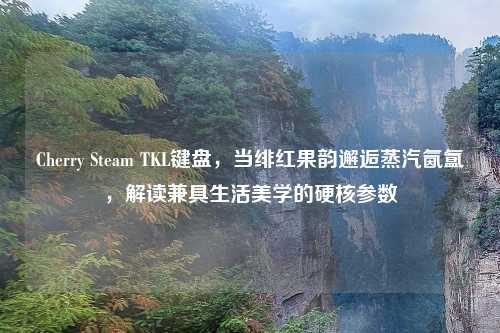 Cherry Steam TKL键盘，当绯红果韵邂逅蒸汽氤氲，解读兼具生活美学的硬核参数
