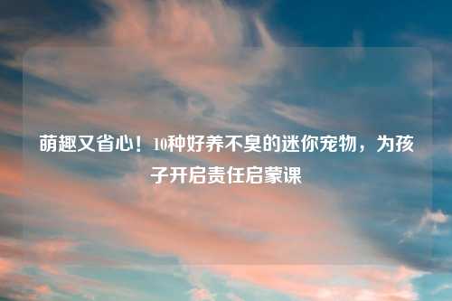 萌趣又省心！10种好养不臭的迷你宠物，为孩子开启责任启蒙课