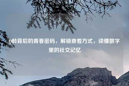 Q龄背后的青春密码，解锁查看方式，读懂数字里的社交记忆