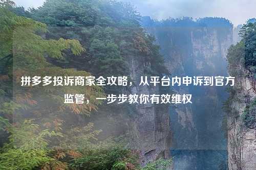 拼多多投诉商家全攻略，从平台内申诉到官方监管，一步步教你有效     
