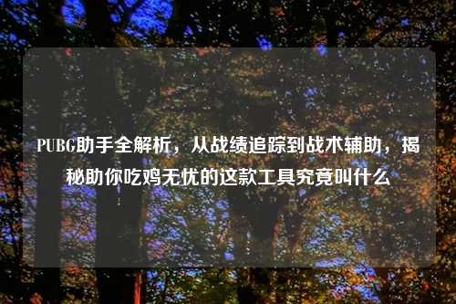 PUBG助手全解析，从战绩追踪到战术辅助，揭秘助你吃鸡无忧的这款工具究竟叫什么