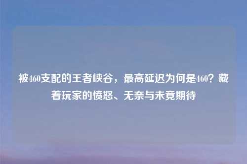 被460支配的王者峡谷，更高延迟为何是460？藏着玩家的愤怒、无奈与未竟期待