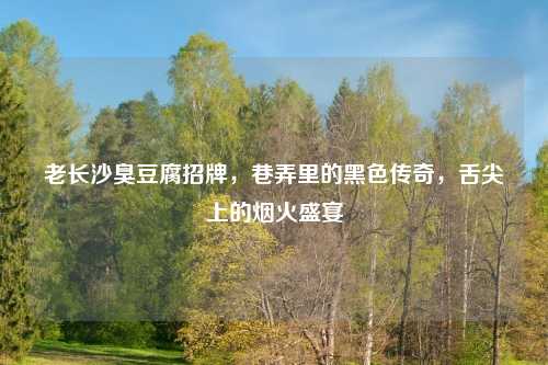 老长沙臭豆腐招牌，巷弄里的黑色传奇，舌尖上的烟火盛宴