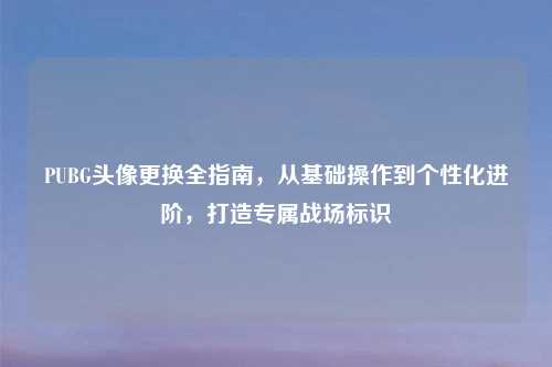 PUBG头像更换全指南，从基础操作到个性化进阶，打造专属战场标识