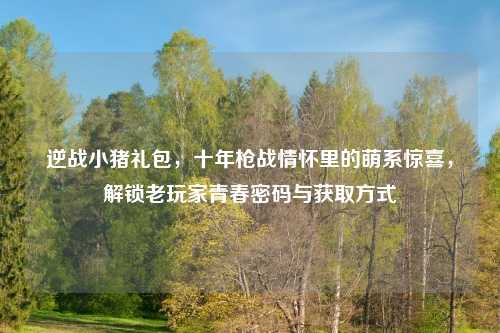 逆战小猪礼包，十年枪战情怀里的萌系惊喜，解锁老玩家青春密码与获取方式