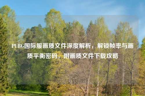PUBG国际服画质文件深度解析，解锁帧率与画质平衡密码，附画质文件下载攻略