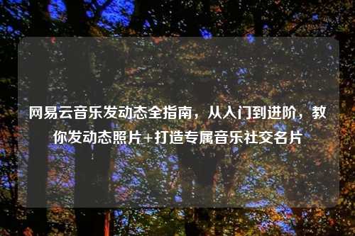 网易云音乐发动态全指南，从入门到进阶，教你发动态照片+打造专属音乐社交名片