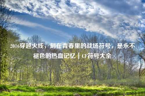 2016穿越火线，刻在青春里的战场符号，是永不褪色的热血记忆｜CF符号大全