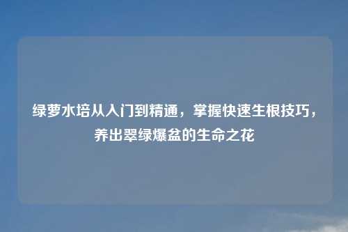 绿萝水培从入门到精通,掌握快速生根技巧,养出翠绿爆盆的生命之花