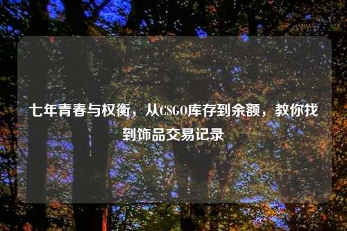 七年青春与权衡，从CSGO库存到余额，教你找到饰品交易记录