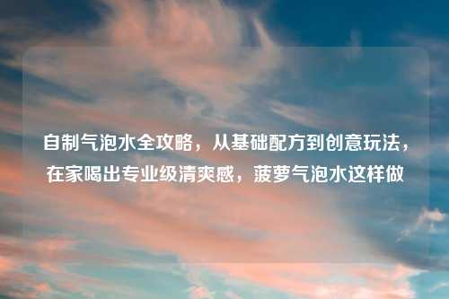自制气泡水全攻略，从基础配方到创意玩法，在家喝出专业级清爽感，菠萝气泡水这样做