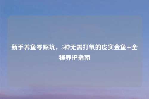 新手养鱼零踩坑，5种无需打氧的皮实金鱼+全程养护指南