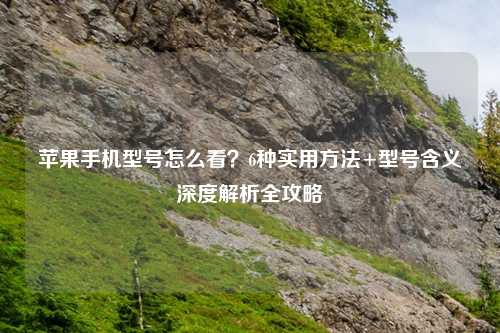 苹果手机型号怎么看？6种实用     +型号含义深度解析全攻略