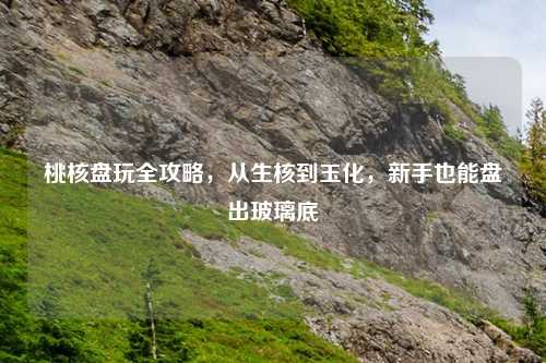 桃核盘玩全攻略，从生核到玉化，新手也能盘出玻璃底