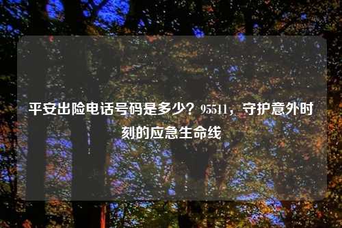 平安出险     号码是多少？95511，守护意外时刻的应急生命线