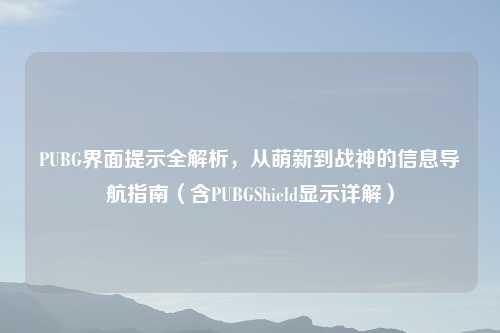 PUBG界面提示全解析，从萌新到战神的信息导航指南（含PUBGShield显示详解）