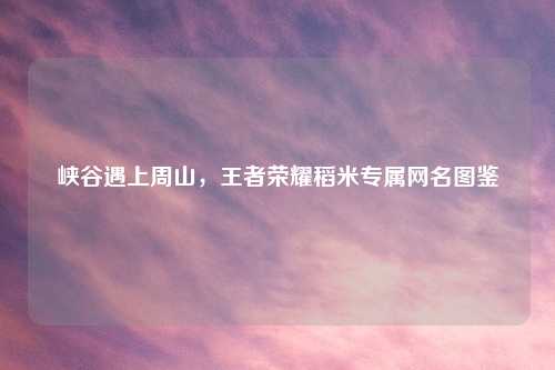 峡谷遇上周山，王者荣耀稻米专属网名图鉴