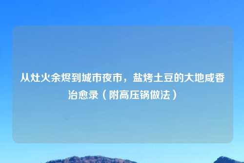 从灶火余烬到城市夜市，盐烤土豆的大地咸香治愈录（附高压锅做法）