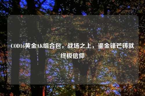 COD16黄金AK组合包，战场之上，鎏金锋芒铸就终极信仰